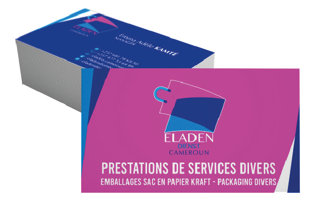 cv 1 plan de travail 1