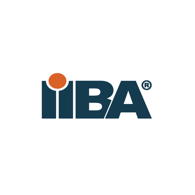 iba png plan de travail 1