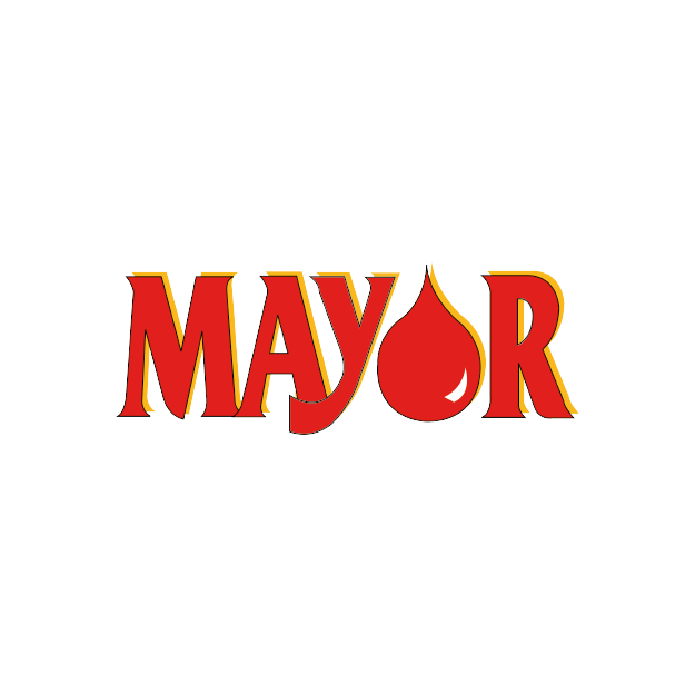 mayor plan de travail 1