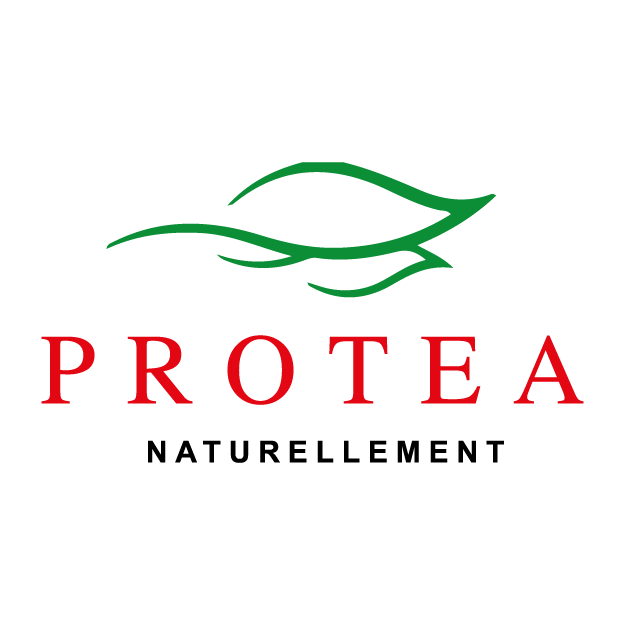 protea plan de travail 1